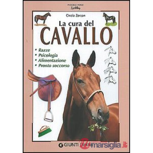 Cura del cavallo