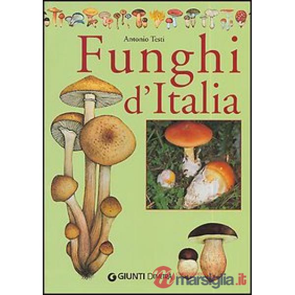 Libro dei funghi d'Italia (Il)