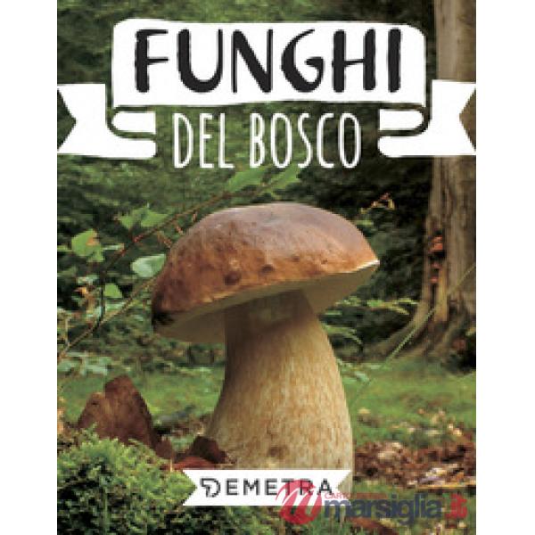Funghi del bosco