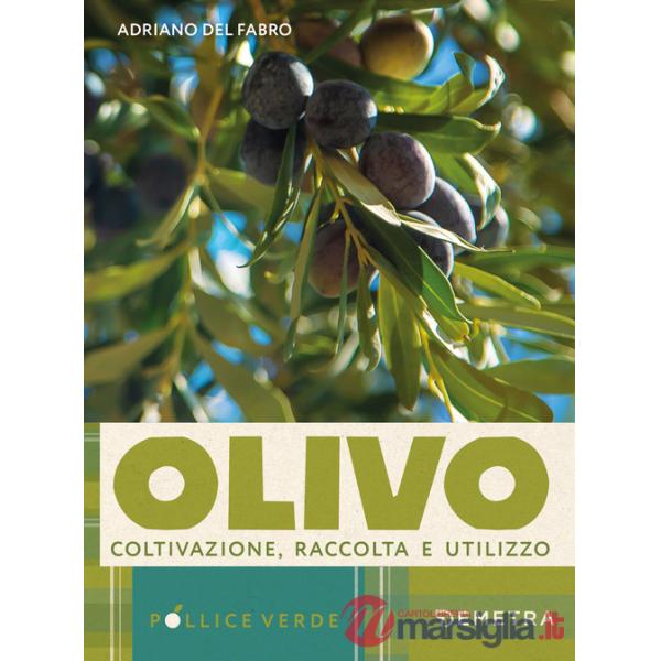 Olivo. Coltivazione, raccolta e utilizzo (L')