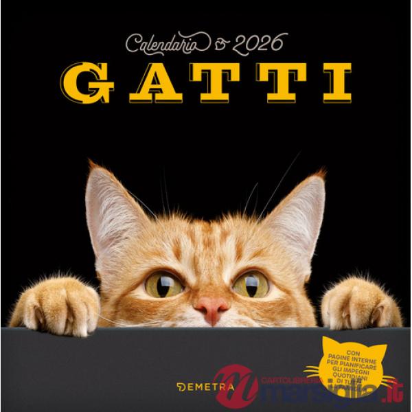 Gatti. Calendario 2026 da parete