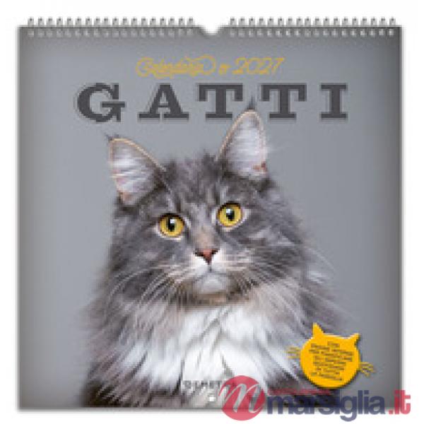 Gatti. Calendario 2027 da parete (30 x 30 cm)