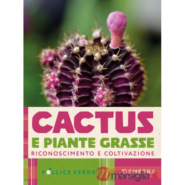 Cactus e piante grasse. Riconoscimento e coltivazione