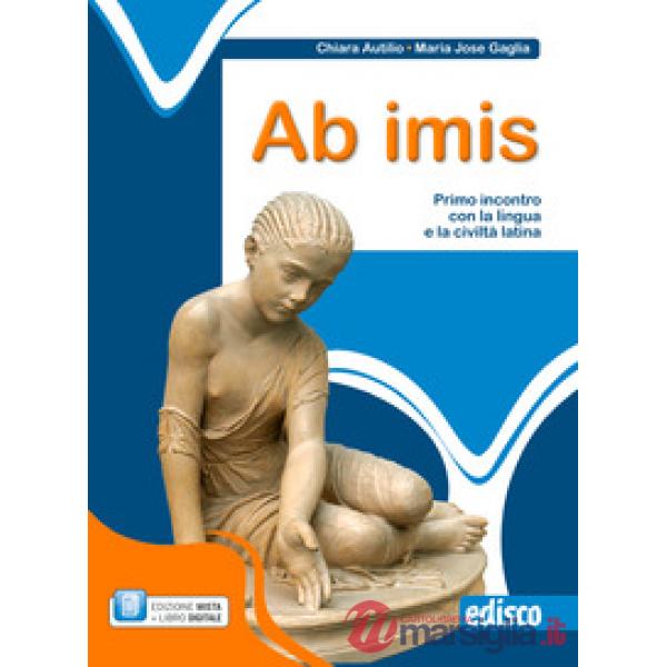 AB IMIS