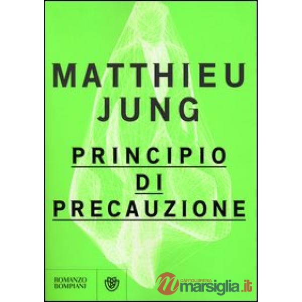 Principio di precauzione