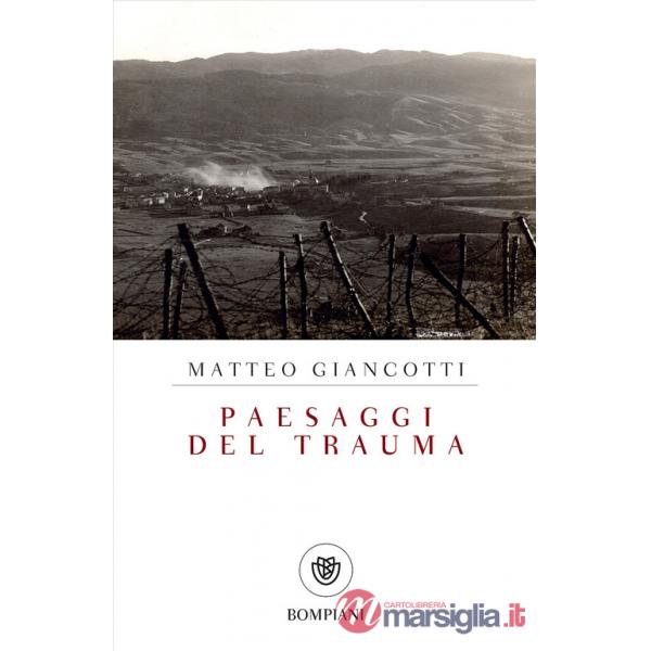 Paesaggi del trauma