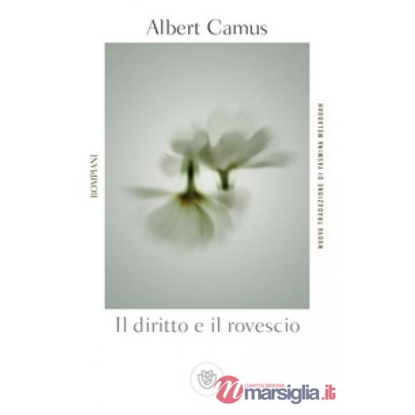Diritto e il rovescio (Il)