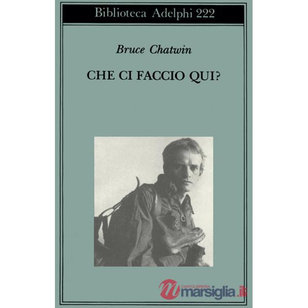 Che ci faccio qui?