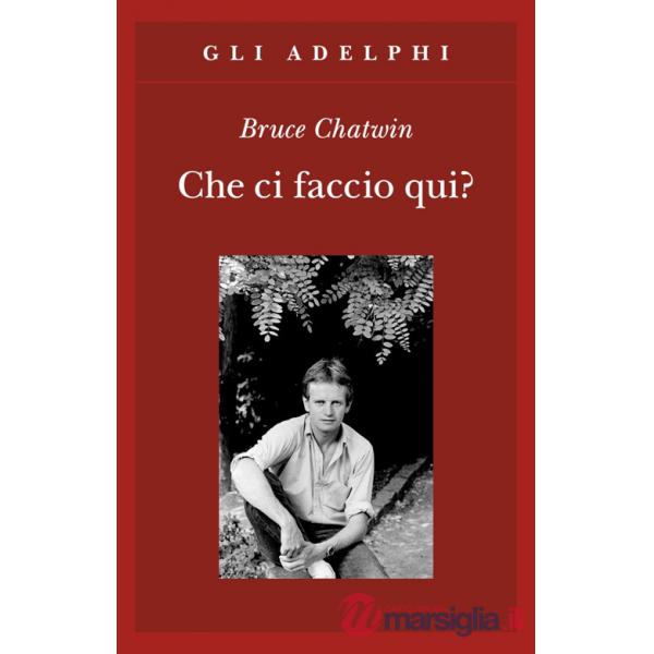 Che ci faccio qui?