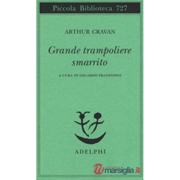 Grande trampoliere smarrito