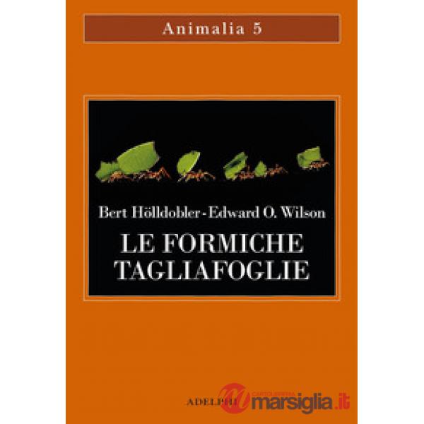Formiche tagliafoglie. La conquista della civiltà attraverso l'istinto (Le)