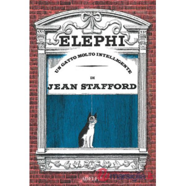 Elephi. Un gatto molto intelligente