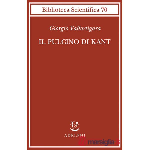 Pulcino di Kant (Il)