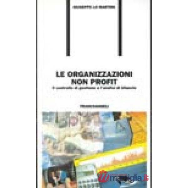 Organizzazioni non profit. Il controllo di gestione e l'analisi di bilancio (Le)