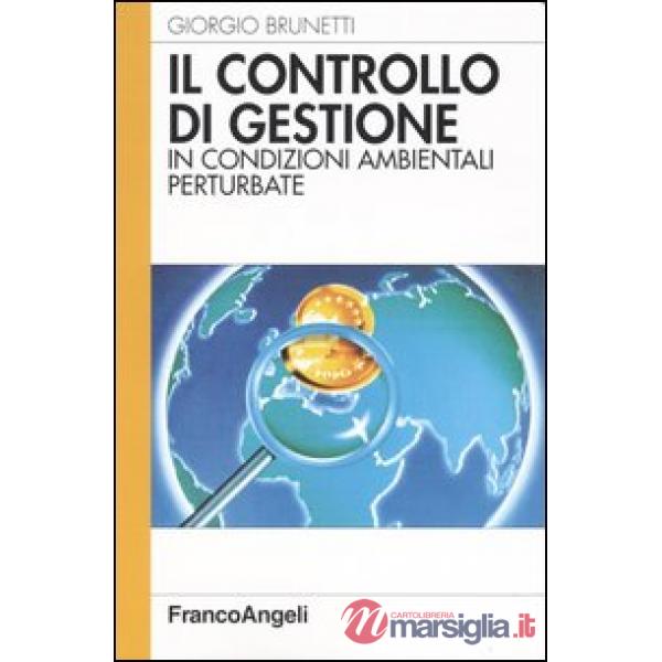 Controllo di gestione in condizioni ambientali perturbate (Il)