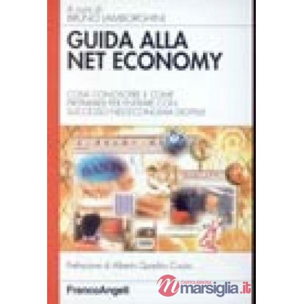 Guida alla Net Economy. Cosa conoscere e come prepararsi per entrare con success