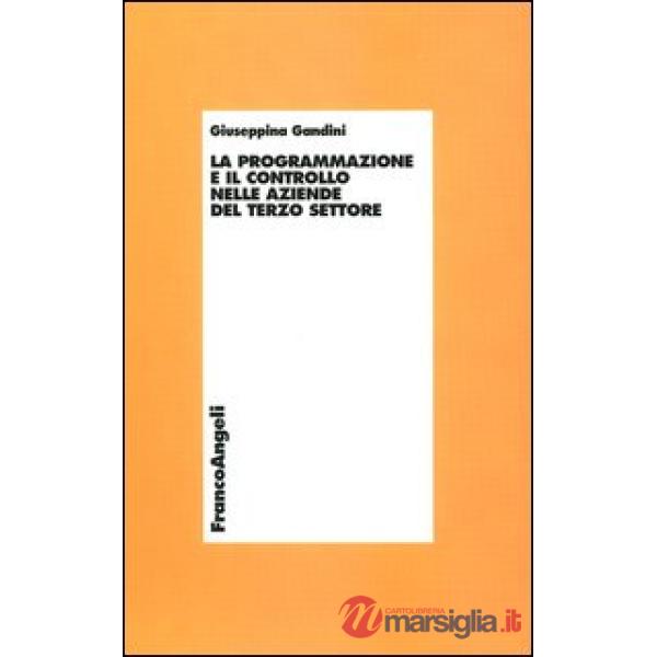 Programmazione e il controllo nelle aziende del terzo settore (La)