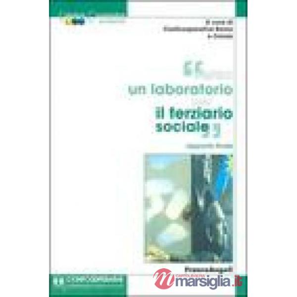 Verso un laboratorio per il terziario sociale. Rapporto finale