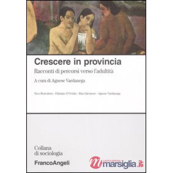 Crescere in provincia. Racconti di percorsi verso l'adultità