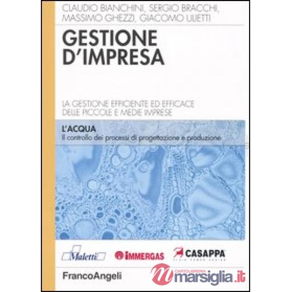 Gestione d'impresa. La gestione efficiente ed efficace delle piccole e medie imp