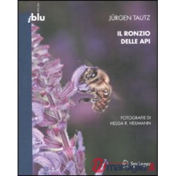 Il ronzio delle api