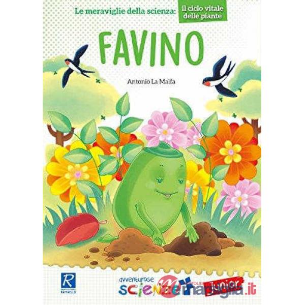 FAVINO