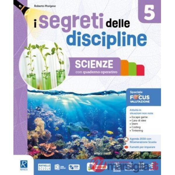 SEGRETI DELLE DISCIPLINE 5 AREA MATEMATICA/SCIENZE (I)