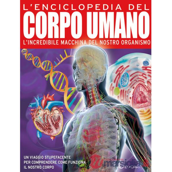 Enciclopedia del corpo umano (L')