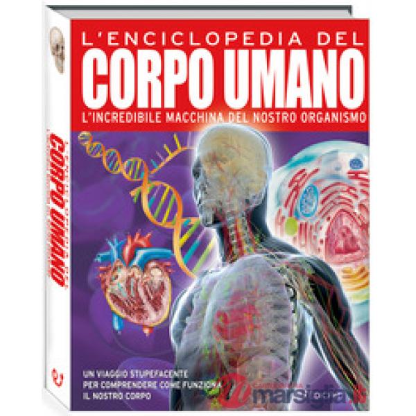 Enciclopedia del corpo umano. Ediz. a colori (L')