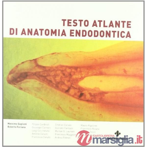 Testo atlante di anatomia endodontica