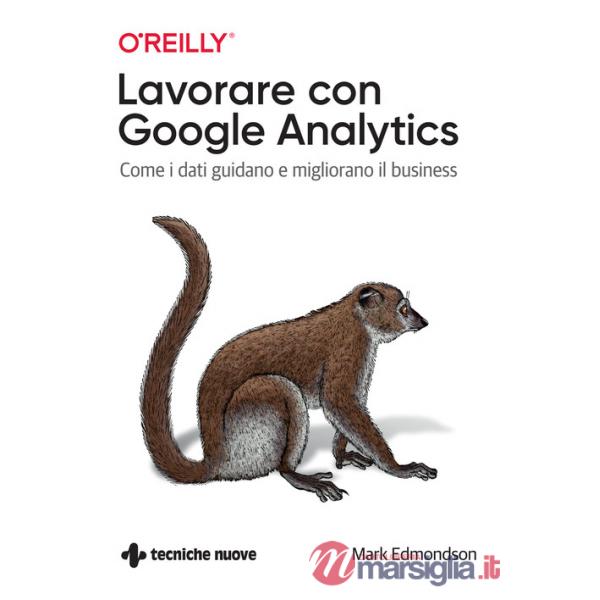 Lavorare con Google Analytics. Come i dati guidano e migliorano il business