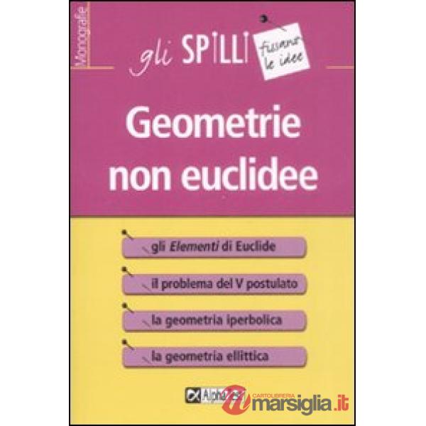 Geometrie non euclidee