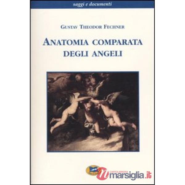 Anatomia comparata degli angeli