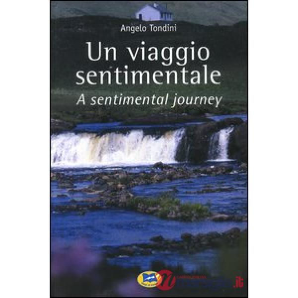 Viaggio sentimentale-A sentimental journey (Un)