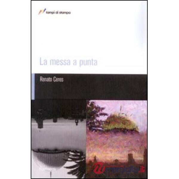 Messa a punta (La)