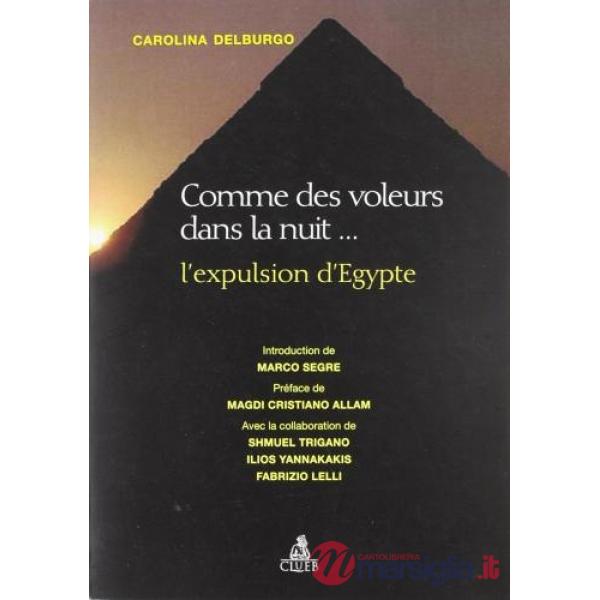 Comme des voleurs dans la nuit. L'expulsion d'Egypte