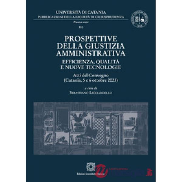 Prospettive della giustizia amministrativa. Efficienza, qualità e nuove tecnologie. Atti del Convegno (Catania, 5 e 6 ottobre 20