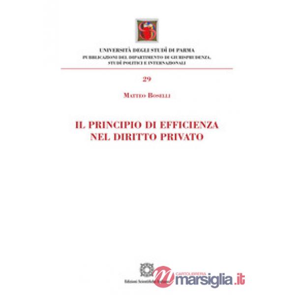 Il principio di efficienza nel diritto privato