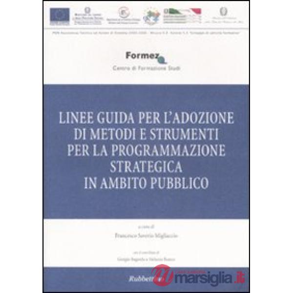 Linee guida per l'adozione di metodi e strumenti per la programmazione