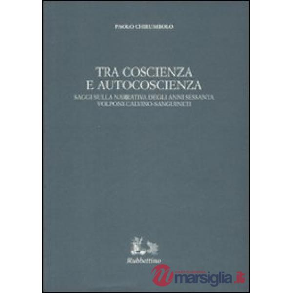 Tra coscienza e autocoscienza. Saggi sulla narrativa degli anni sessanta. Volponi, Calvino, Sanguineti