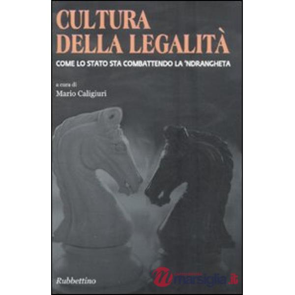 Cultura della legalità. Come lo Stato sta combattendo la 'ndrangheta