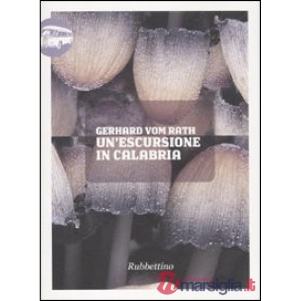 Escursione in Calabria (Un')