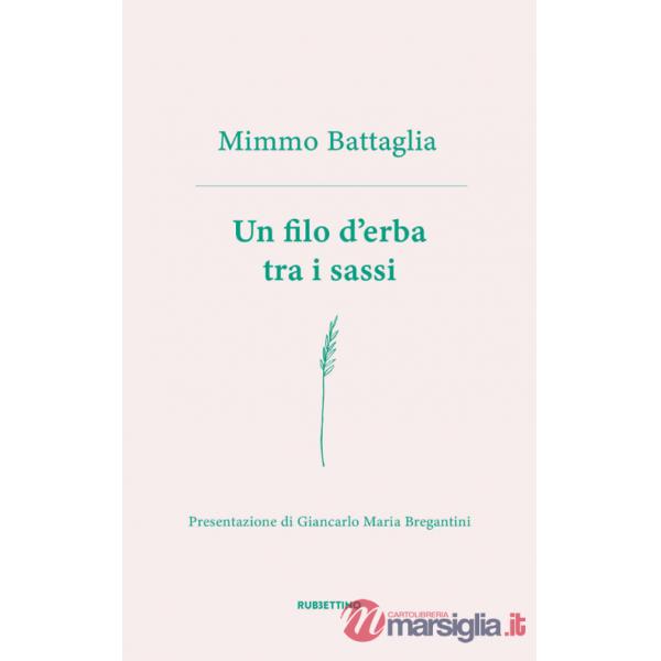 Filo d'erba tra i sassi (Un)