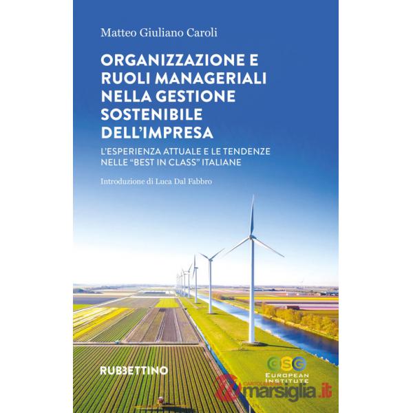 Organizzazione e ruoli manageriali nella gestione sostenibile dell'impresa. L'esperienza attuale e le tendenze nelle «best in cl