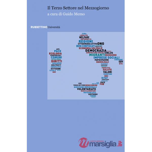 Terzo Settore nel Mezzogiorno (Il)
