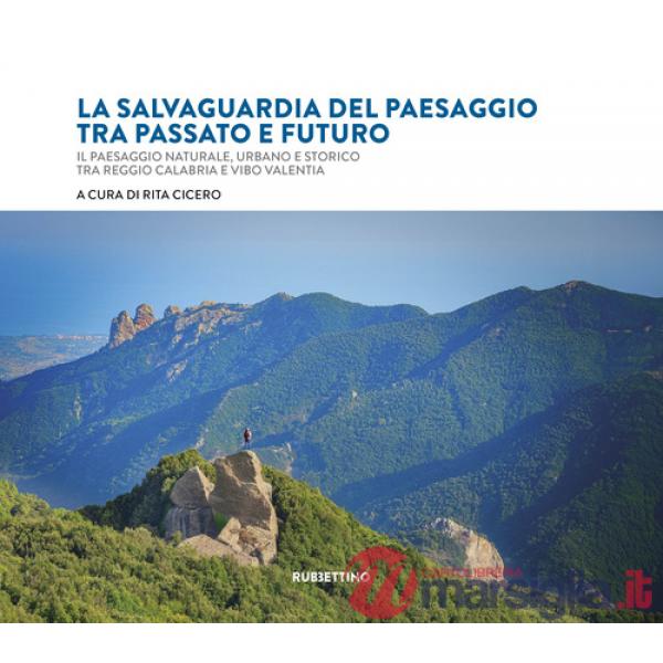Salvaguardia del paesaggio tra passato e futuro. Il paesaggio naturale, urbano e storico tra Reggio Calabria e Vibo Valentia (La