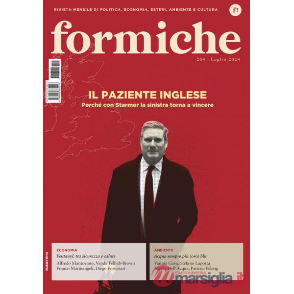 Formiche (2024). Vol. 204: Il paziente inglese