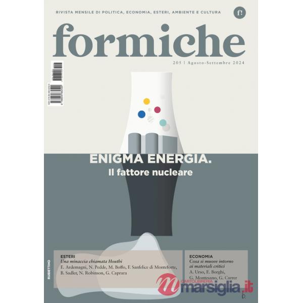 Formiche (2024). Vol. 205: Enigma energia. Il fattore nucleare