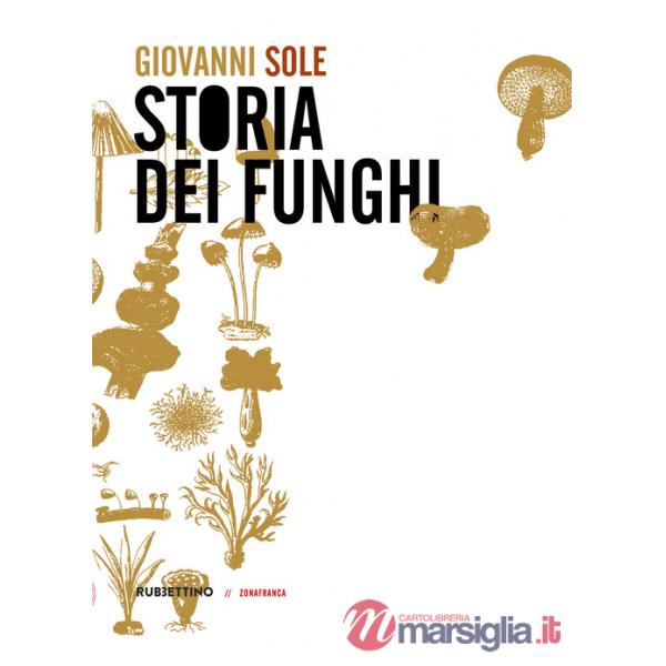 Storia dei funghi