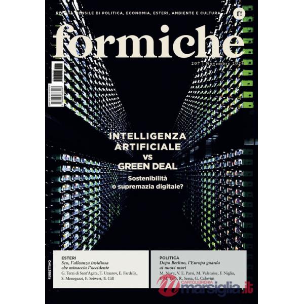 Formiche (2024). Vol. 207: Intelligenza Artificiale vs Green Deal. Sostenibilità o supremazia digitale?